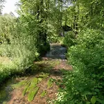 Villa Delightful In Sourbrodt With Swimming Pool, Terrace