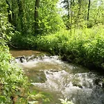 Delightful In Sourbrodt With Swimming Pool, Terrace