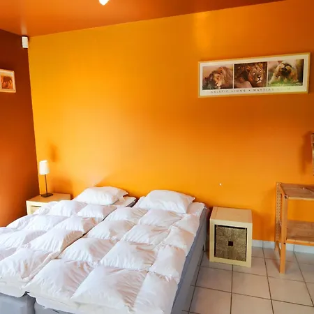 Delightful In Sourbrodt With Swimming Pool Terrace * Weismes