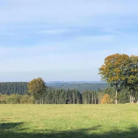 Delightful In Sourbrodt With Swimming Pool Terrace *