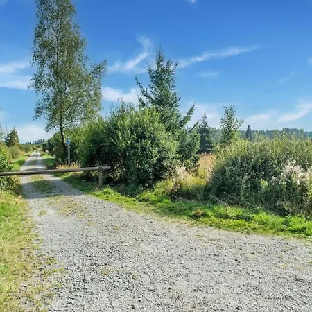 Villa Delightful In Sourbrodt With Swimming Pool Terrace *