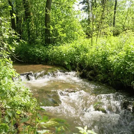 Delightful In Sourbrodt With Swimming Pool Terrace Villa