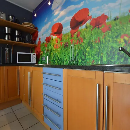 Delightful In Sourbrodt With Swimming Pool, Terrace 와이메스