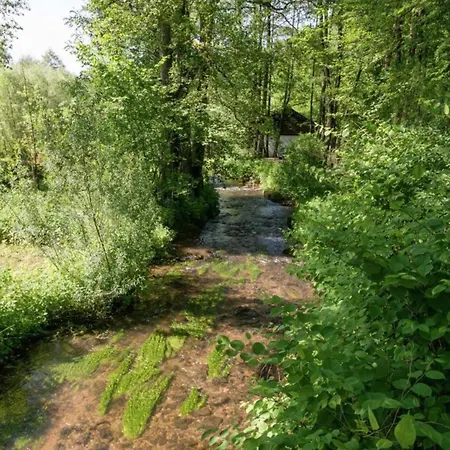빌라 Delightful In Sourbrodt With Swimming Pool, Terrace