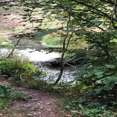 Delightful In Sourbrodt With Swimming Pool, Terrace Villa *