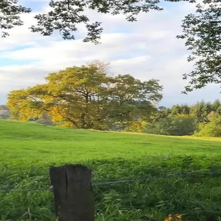 Delightful In Sourbrodt With Swimming Pool, Terrace Villa *