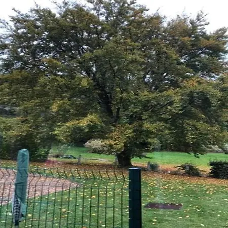 Delightful In Sourbrodt With Swimming Pool, Terrace Waimes