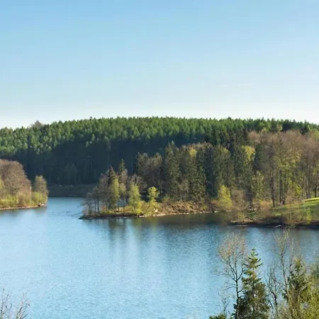 Villa Delightful In Sourbrodt With Swimming Pool Terrace