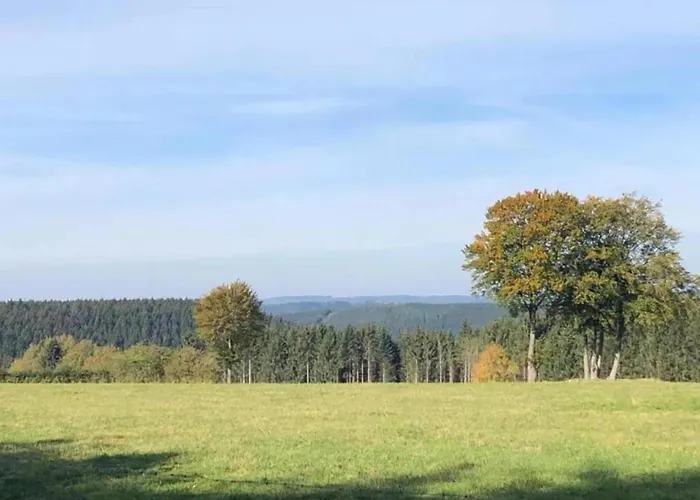 Delightful In Sourbrodt With Swimming Pool, Terrace Waimes