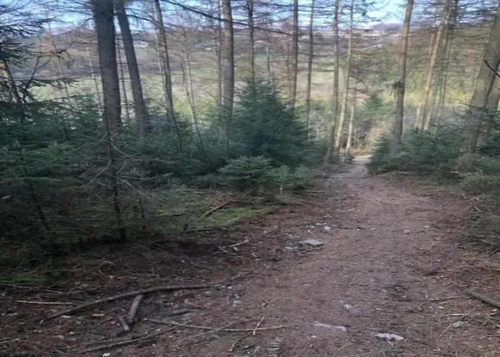 Delightful In Sourbrodt With Swimming Pool, Terrace * Waimes