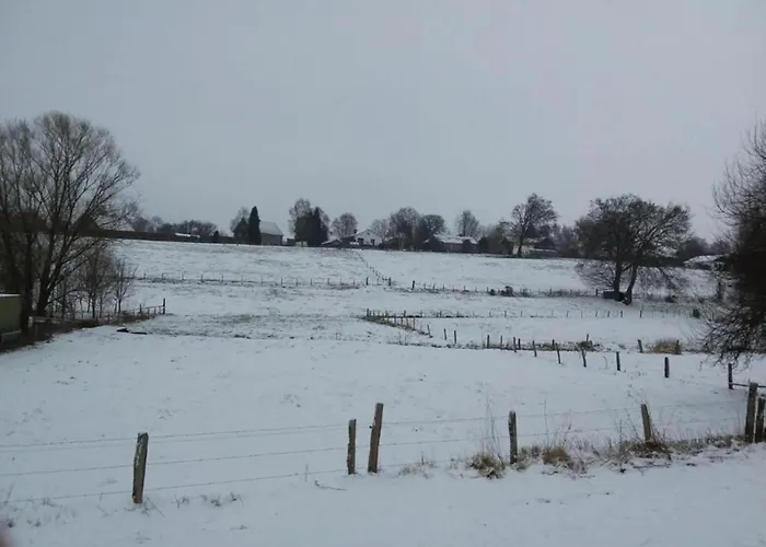 Delightful In Sourbrodt With Swimming Pool, Terrace Villa Waimes