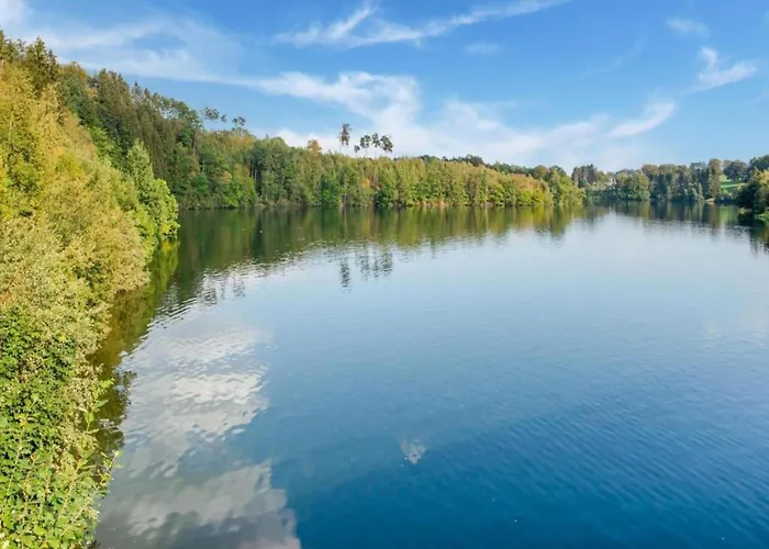 Delightful In Sourbrodt With Swimming Pool, Terrace Villa Waimes