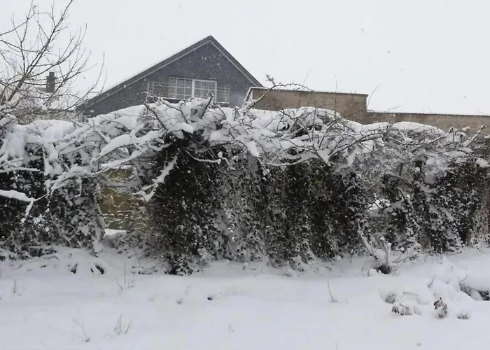 Delightful In Sourbrodt With Swimming Pool, Terrace Villa Waimes