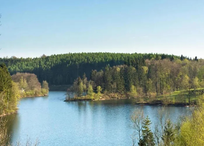 Delightful In Sourbrodt With Swimming Pool, Terrace Villa