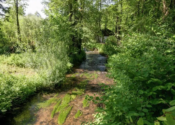 Villa Delightful In Sourbrodt With Swimming Pool, Terrace