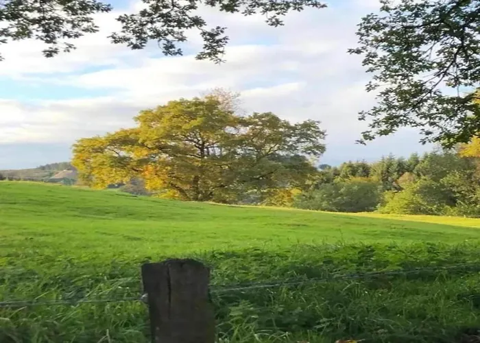 Delightful In Sourbrodt With Swimming Pool, Terrace Villa *