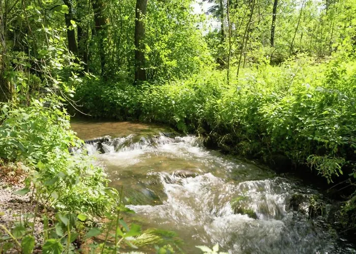 Delightful In Sourbrodt With Swimming Pool, Terrace